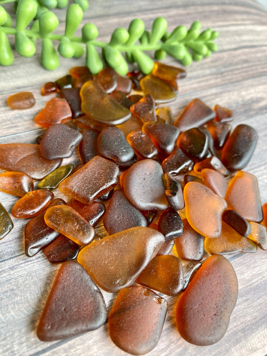 Brown sea glass 20 pieces/beach glass collected from Queensferry beach Scotland in 2022