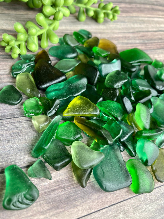 Green sea glass 20 pieces/beach glass collected from Queensferry beach Scotland in 2022