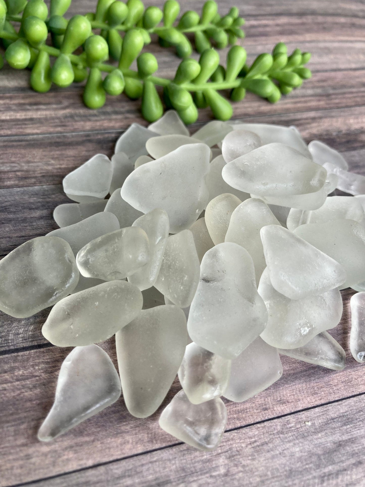 White sea glass 20 pieces/beach glass collected from Queensferry beach Scotland in 2022